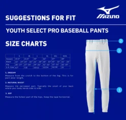 Mizuno Boys' Select Pro Baseball Pants -Rawling Baseball Shop 350595 Grey DET alt1