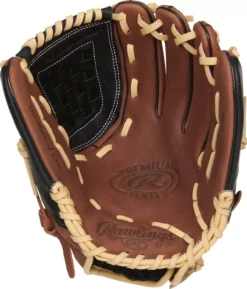 Rawlings 12'' Premium Series Glove -Rawling Baseball Shop D120BD NOCOLOR PALM
