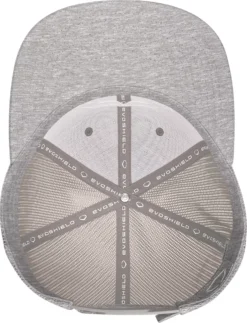 EvoShield B.I.G. Snapback Hat -Rawling Baseball Shop ESBIGSNP WTV8743HGOSFM HeatherGrey TOP